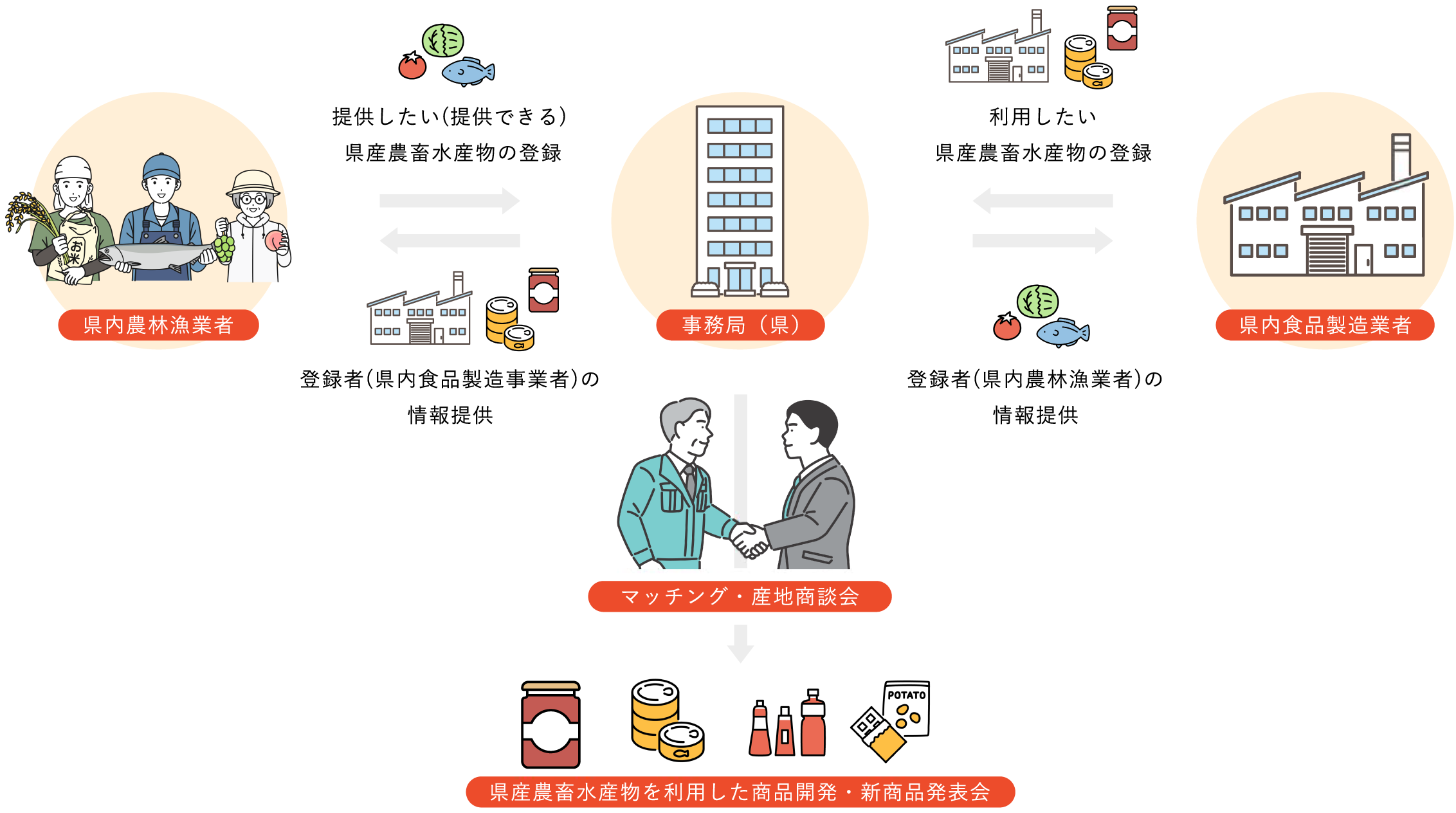 県内の農林漁業者と食品製造業者を事務局が繋ぎ、マッチングや産地商談会を実施し、県産農畜水産鬱を利用した商品開発や新商品開発を支援します。