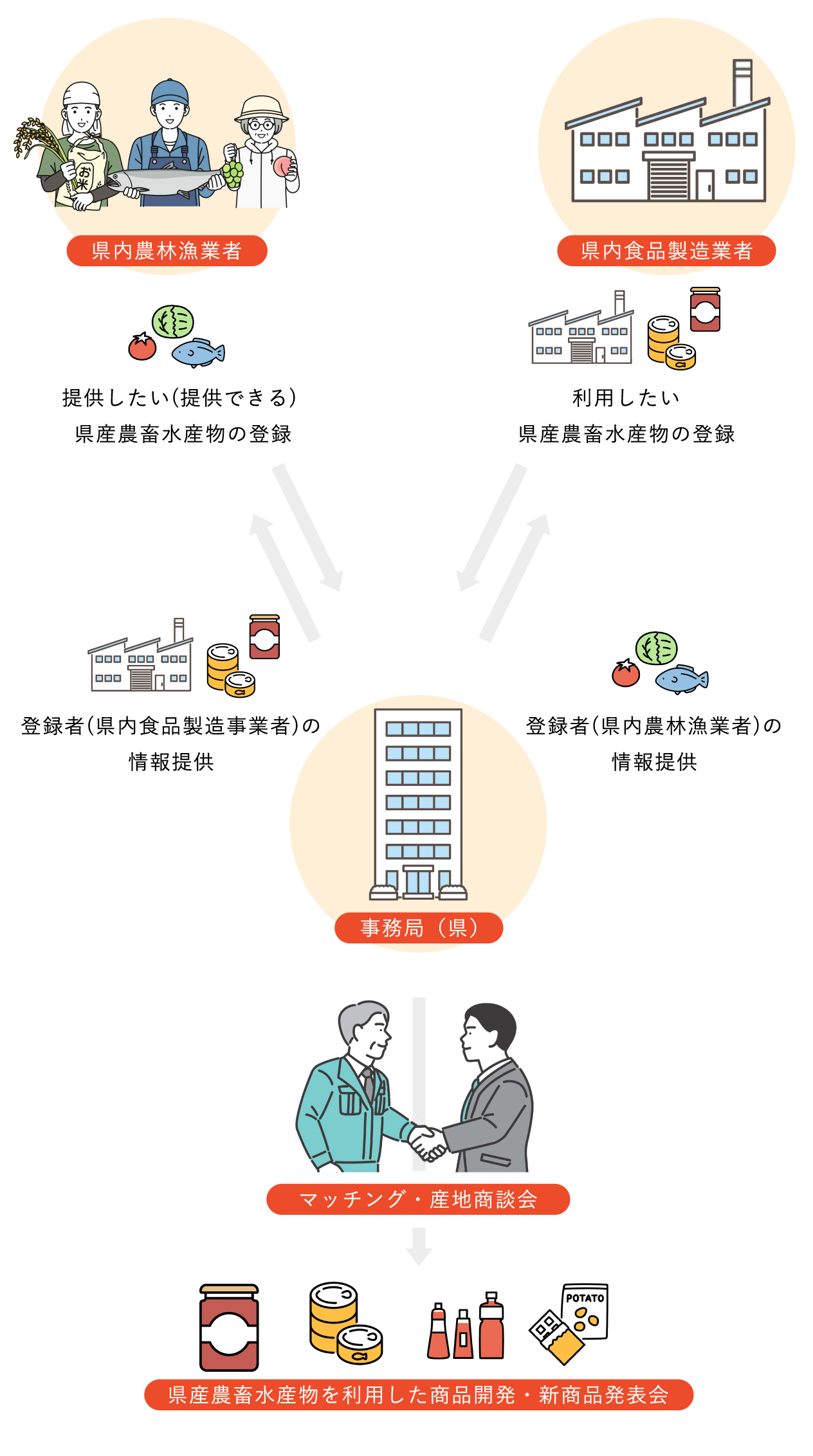 県内の農林漁業者と食品製造業者を事務局が繋ぎ、マッチングや産地商談会を実施し、県産農畜水産鬱を利用した商品開発や新商品開発を支援します。