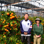 西森くだもの農園