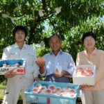 ひうらの里 飯田農園（飯田桃園）