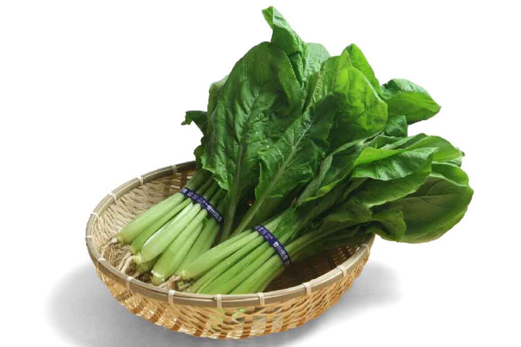 食べて菜