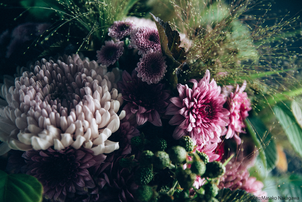 マム 菊 多様な色と花形で見る者を魅了する美しい花 讃岐の食