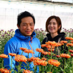 falce ファルチェ