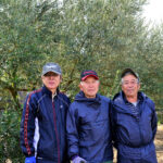 NPO法人 瀬戸内オリーブ基金