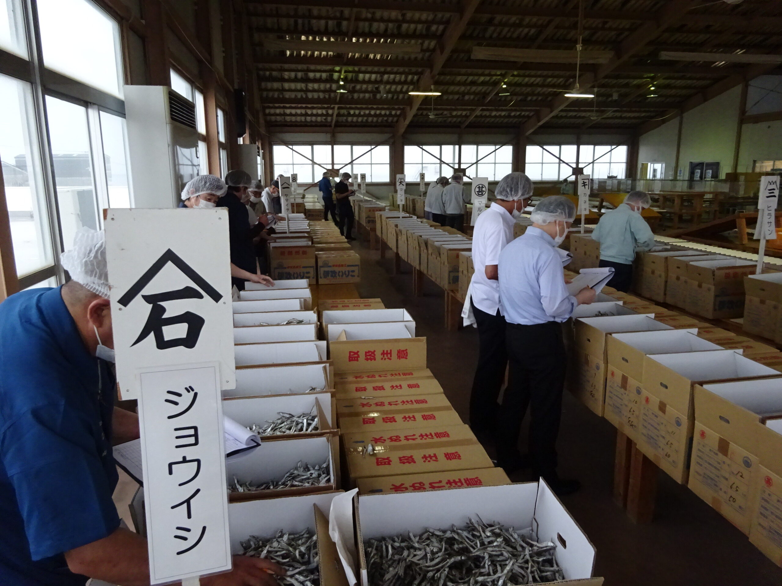 今年も品質良好 自慢のいりこ 讃岐の食