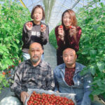 田んぼ屋たなか