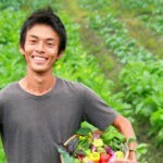 有限会社 コスモファーム