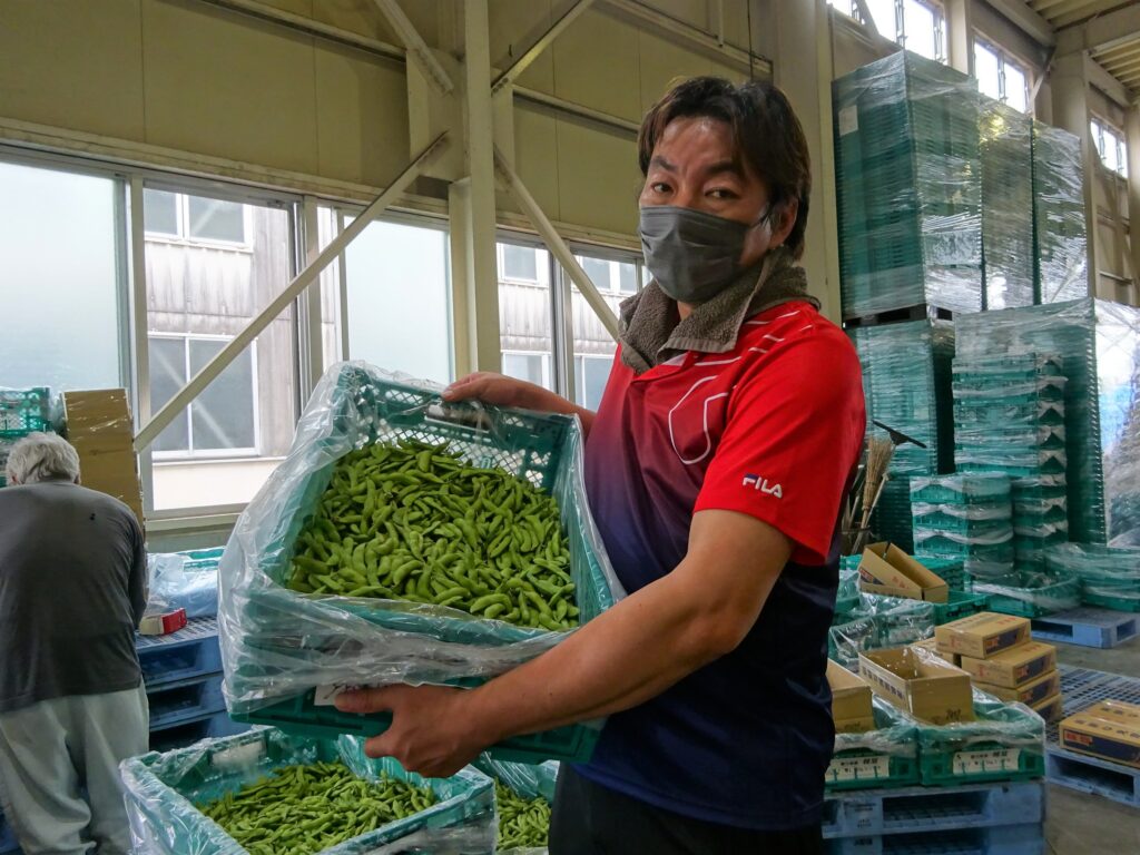 今だけ！新鮮な旬の味　エダマメ
